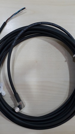 Baumer Group-ESW 31SH0500