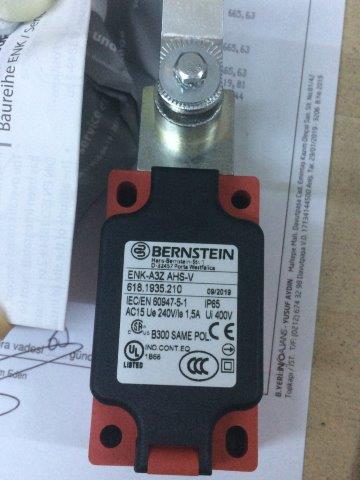 Bernstein-618.1935.210